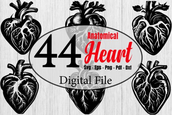 Anatomical Heart SVG Bundle: Graphics for Crafts & Blogs